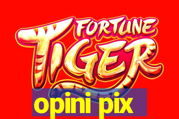 opini pix